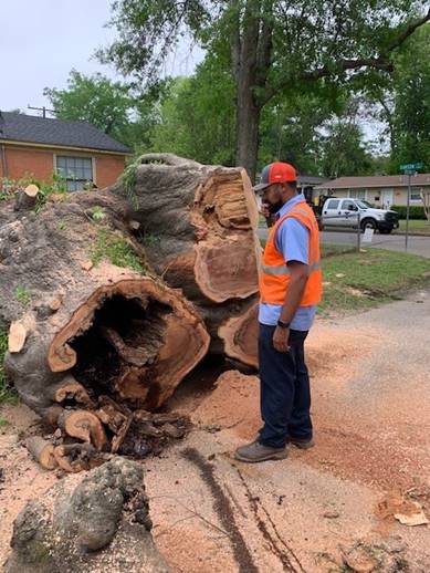 storm news photo