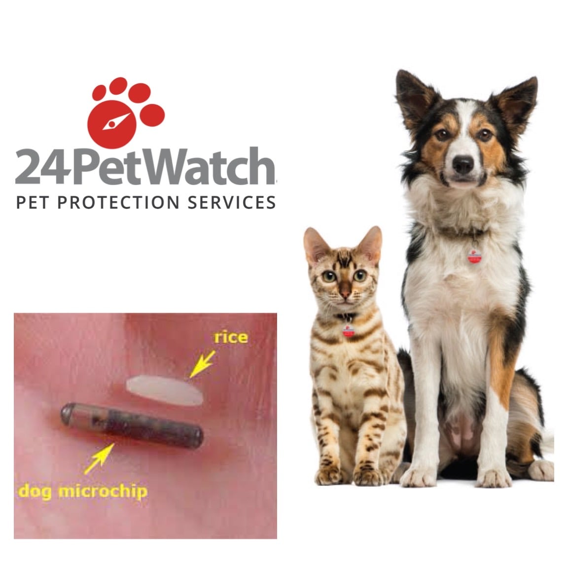 microchip